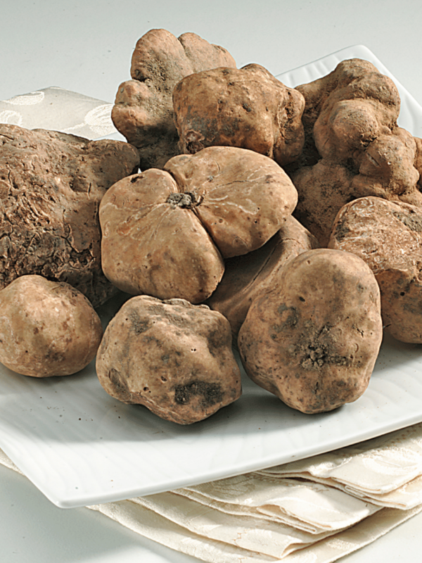 Tartufo Bianco pezzatura grande 20>50 GR