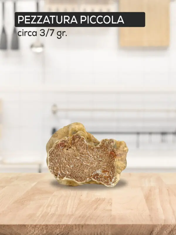 Tartufo Bianco pezzatura piccola 2gr >6 gr.