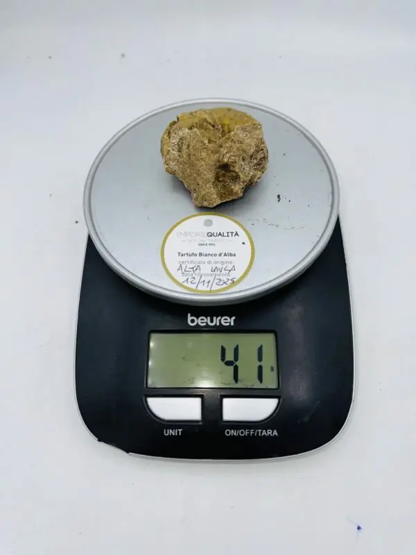 Tartufo Bianco d' Alba Tuber Magnatum Pico prov.Alta Langa cavato il12/11/25 gr.41C