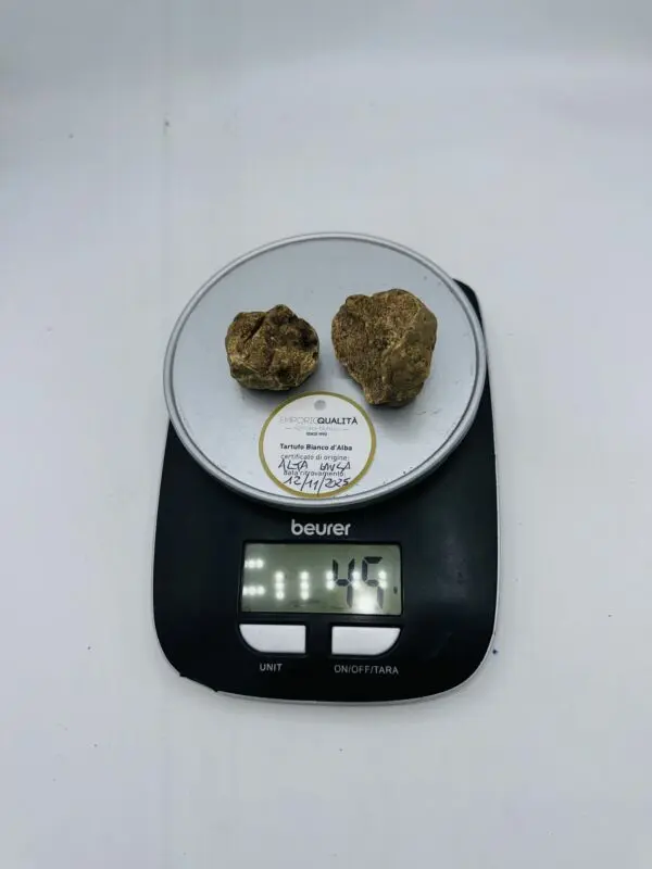 Tartufo Bianco d' Alba Tuber Magnatum Pico prov.Alta Langa cavato il12/11/25 gr.45 N