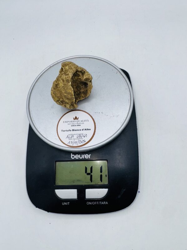 Tartufo Bianco d' Alba Tuber Magnatum Pico prov. Alta Langa cavato il 15/11/25 gr.41 A