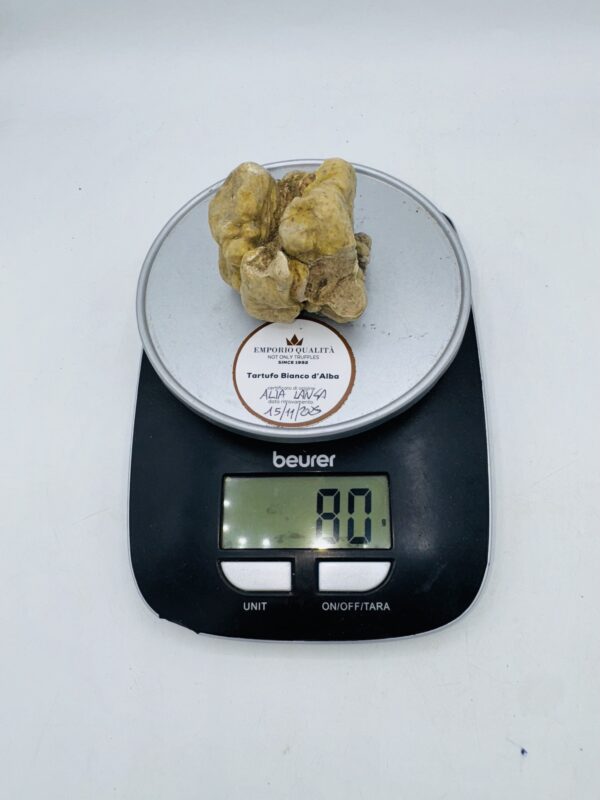 Tartufo Bianco d' Alba Tuber Magnatum Pico prov. Alta Langa cavato il 15/11/25 gr.80F