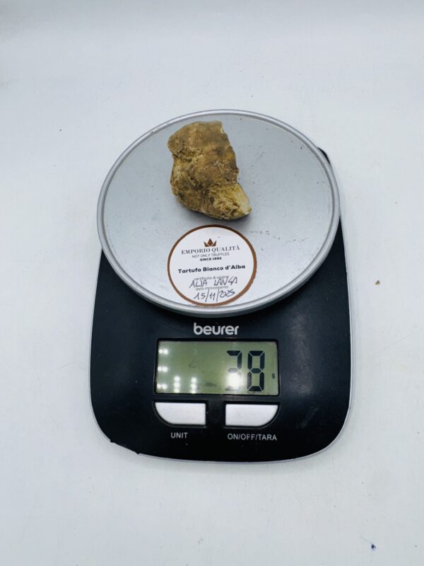 Tartufo Bianco d' Alba Tuber Magnatum Pico prov. Alta Langa cavato il 15/11/25 gr.38 N