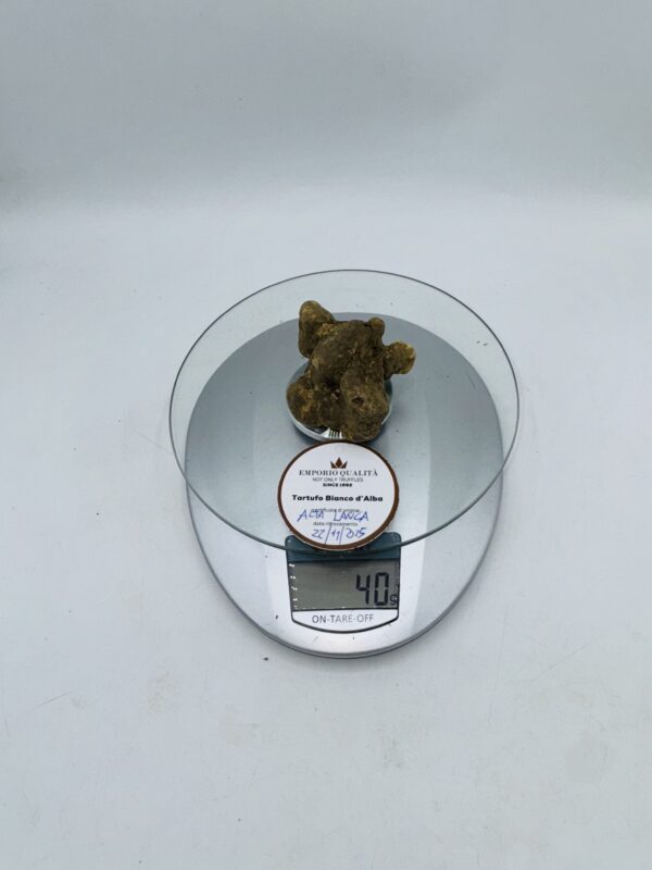 Tartufo bianco d' Alba Tuber Magnatum Pico prov. Alta Langa cavato il 22/11/25 Gr.40 D
