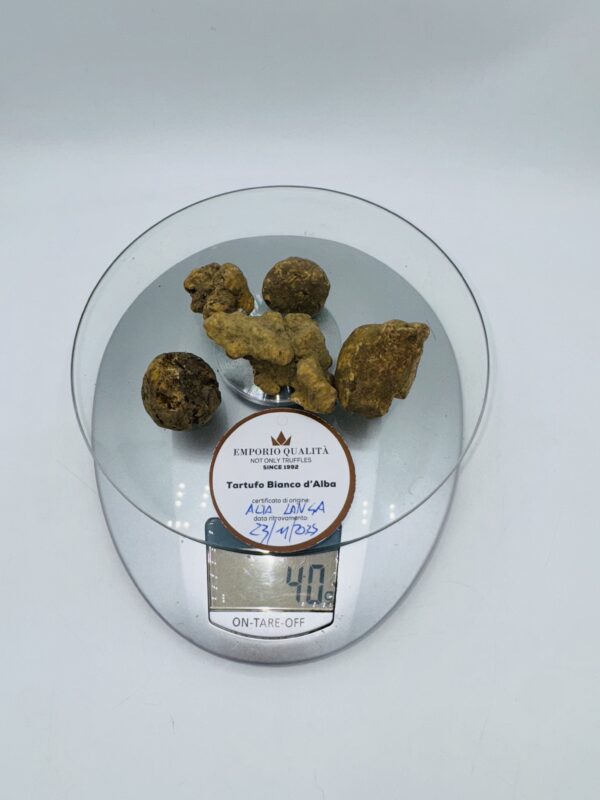 Tartufo bianco d' Alba Tuber Magnatum Pico Cavato il 23/11/25 gr.40 d