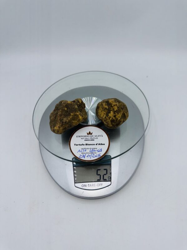 Tartufo bianco d’Alba Tuber magnatum pico prov.Alta Langa cavato il 29/11/25 gr.52 H 2 tartufi