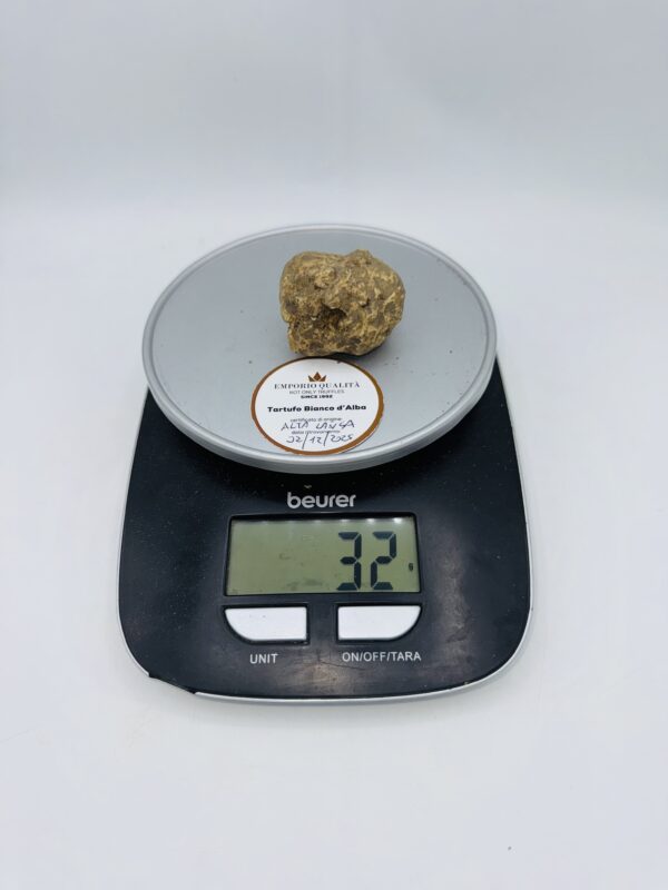 Tartufo bianco d' Alba Tuber Magnatum Pico Prov. Alta Langa cavato il 02/12/2025 gr.32 B