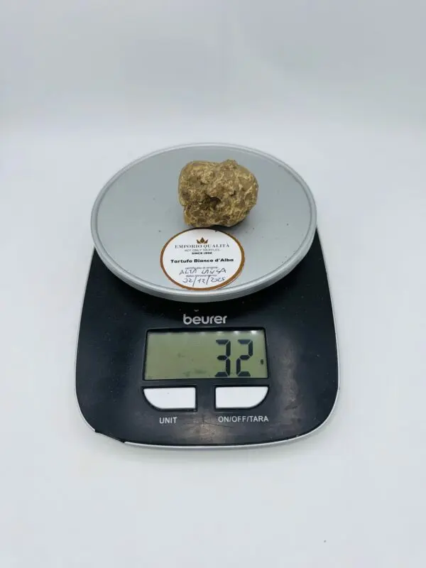 Tartufo bianco d' Alba Tuber Magnatum Pico Prov. Alta Langa cavato il 02/12/2025 gr.32 B