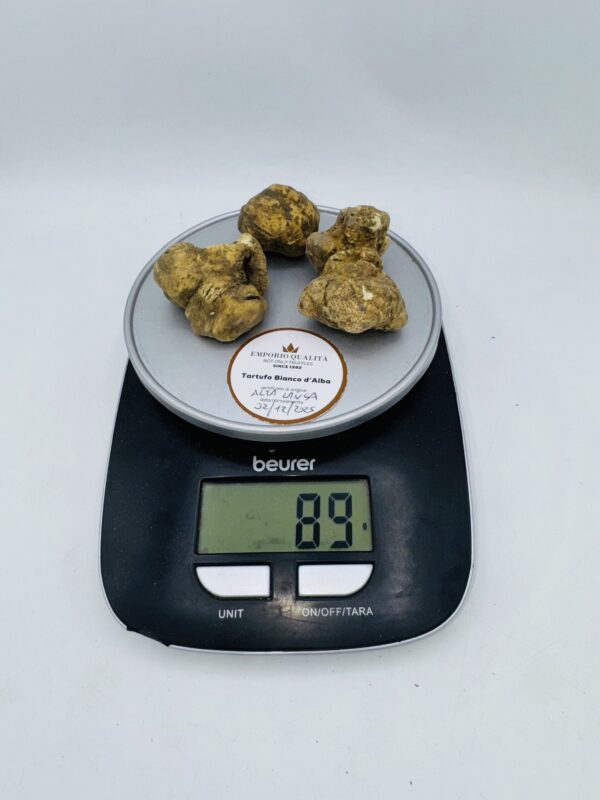 Tartufo bianco d' Alba Tuber Magnatum Pico Prov. Alta Langa cavato il 02/12/2025 gr.89 H