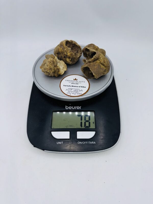 Tartufo bianco d' Alba Tuber Magnatum Pico Prov. Alta Langa cavato il 02/12/2025 gr.78i