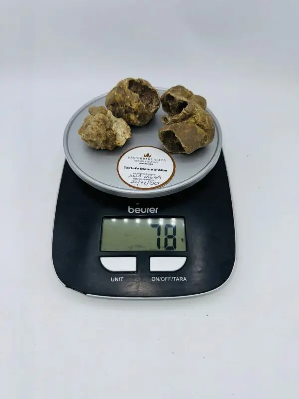 Tartufo bianco d' Alba Tuber Magnatum Pico Prov. Alta Langa cavato il 02/12/2025 gr.78i
