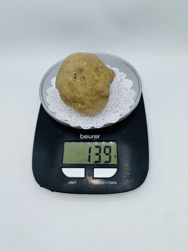 Tartufo Bianco d' Alba Tuber Magnatum Pico Prov. Alta Langa gr.139 top