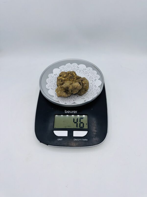 Tartufo Bianco d' Alba Tuber Magnatum Pico Prov. Alta Langa gr.46