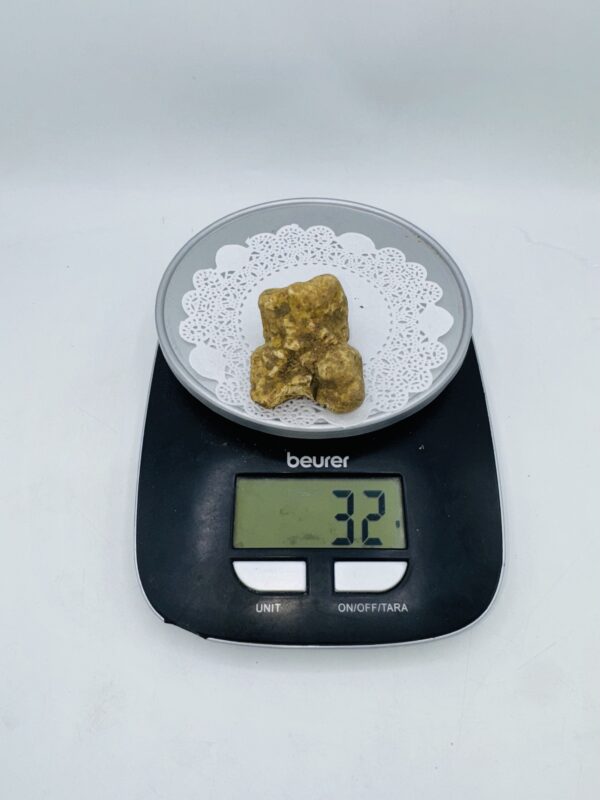 Tartufo Bianco d' Alba Tuber Magnatum Pico Prov. Alta Langa gr.32