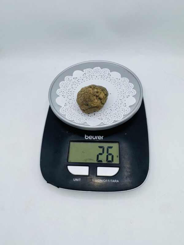 Tartufo Bianco d' Alba Tuber Magnatum Pico Prov. Alta Langa gr.26