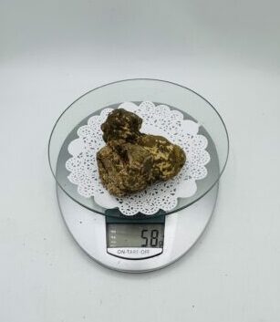 Tartufo Bianco d' Alba Tuber Magnatum Pico Prov. Alta Langa gr.58