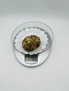 Tartufo Bianco d' Alba Tuber Magnatum Pico Prov. Alta Langa gr.55