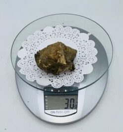 Tartufo Bianco d' Alba Tuber Magnatum Pico Prov. Alta Langa  a gr.30