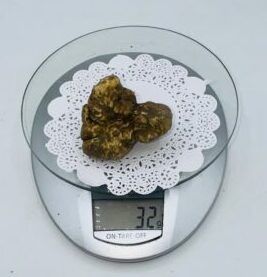Tartufo Bianco d' Alba Tuber Magnatum Pico Prov. Alta Langa gr.32