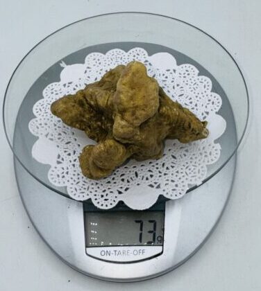 Tartufo Bianco d' Alba Tuber Magnatum Pico Prov. Alta Langa l gr.73