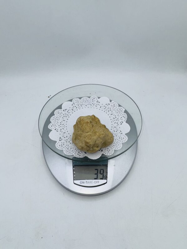Tartufo Bianco d' Alba Tuber Magnatum Pico prov. Alta Langa gr.150 ( codice di identificazione interno)