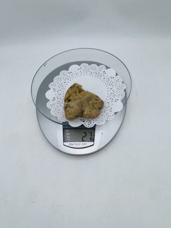 Tartufo Bianco d' Alba Tuber Magnatum Pico prov. Alta Langa gr. 27 ( o codice di identificazione interno)