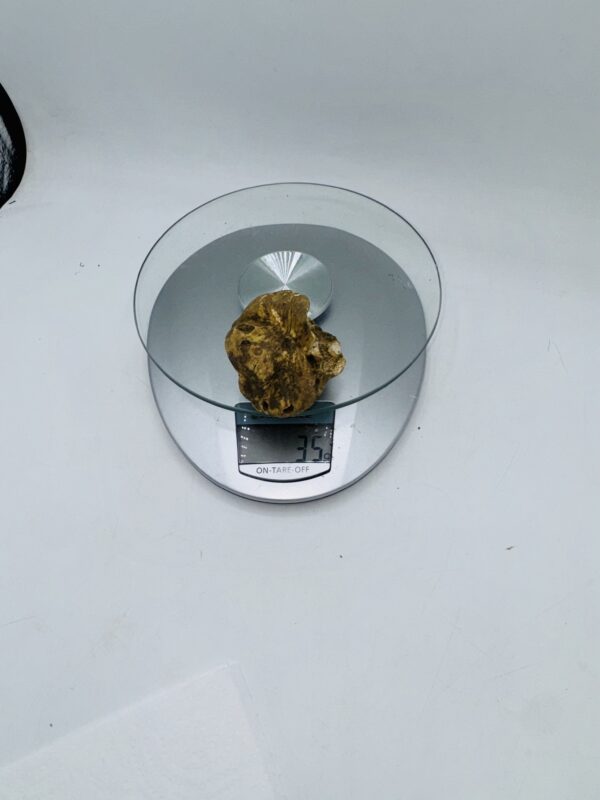 Tartufo Bianco d' Alba Tuber Magnatum Pico prov. Alta Langa gr.35 (m codice di identificazione interno)