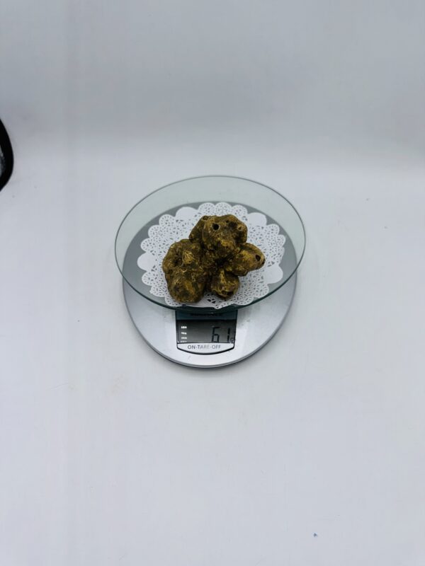 Tartufo Bianco d' Alba Tuber Magnatum Pico Prov.Alta Langa cavato il 21/12/25 gr.  61 ( d codice di tracciabilita' interno)