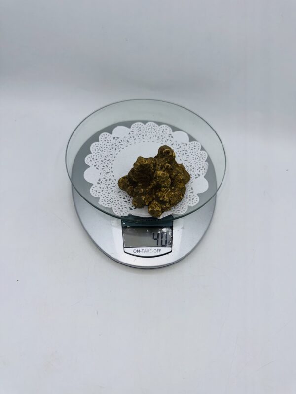 Tartufo Bianco d' Alba Tuber Magnatum Pico Prov.Alta Langa cavato il 21/12/25 gr. 40 ( i codice di tracciabilita' interno)