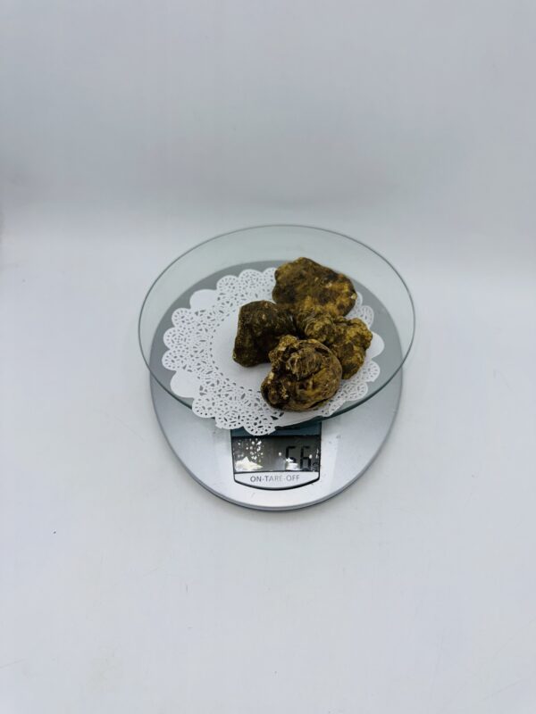 Tartufo Bianco d' Alba Tuber Magnatum Pico Prov.Alta Langa cavato il 21/12/25 gr.66   ( codice di tracciabilita' interno)