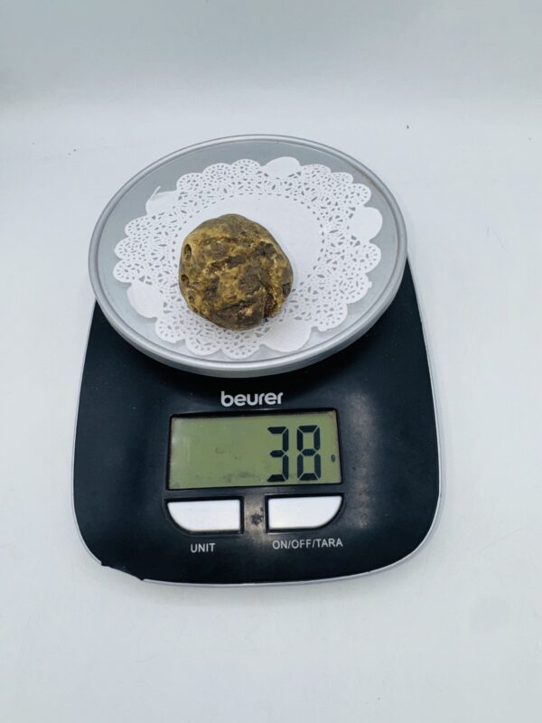 Tartufo Bianco d' Alba Tuber Magnatum Pico Prov. Alta Langa gr.38